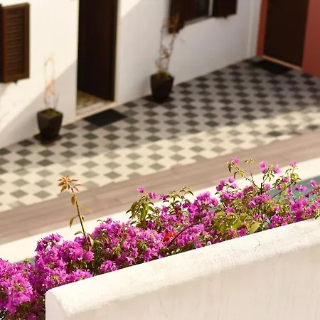 Fisherman's House In Oldtown With Exclusive Rooftop Ferienhaus Albufeira